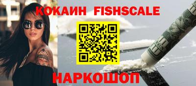 гашик Бийск