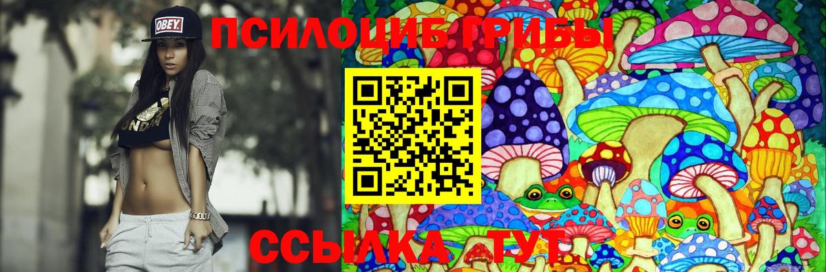 Псилоцибиновые грибы мицелий Изобильный